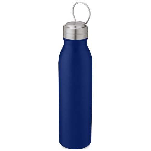 Harper 700 Ml Stainless Steel Water Bottle With Metal Loop