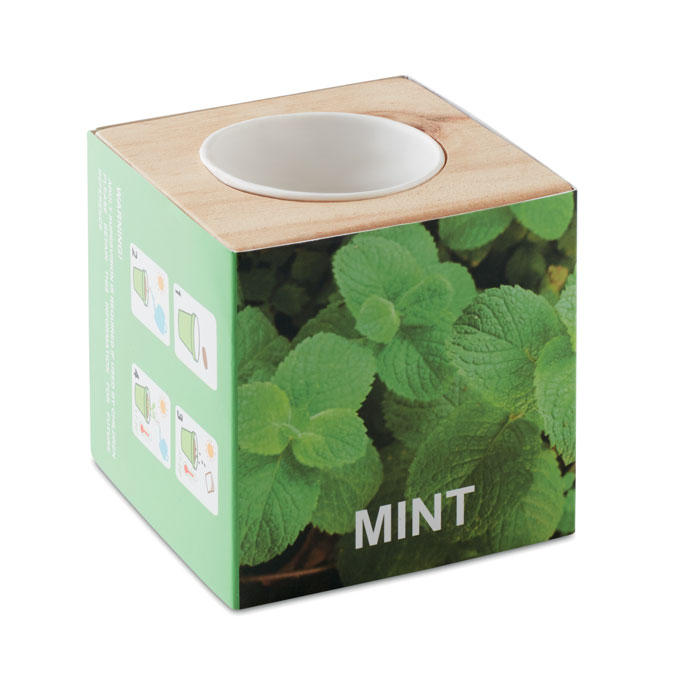 Menta